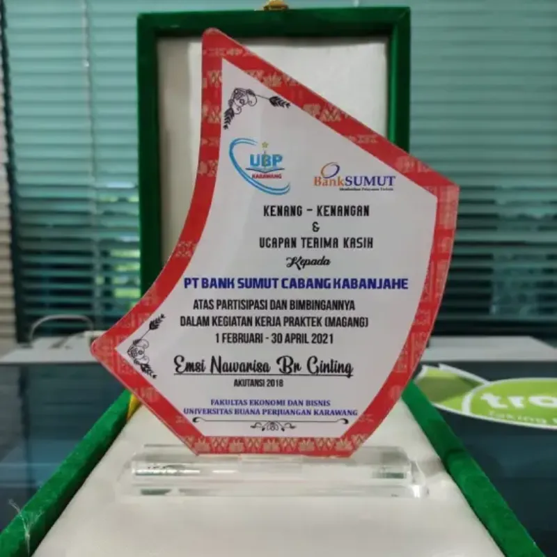 Plaque Internship Program